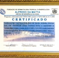 Ampliar imagem: certificate 5