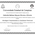 Ampliar imagem: certificate 3