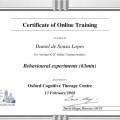 Ampliar imagem: certificate 7