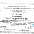 Ampliar imagem: certificate 2
