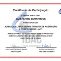 Ampliar imagem: certificate 9
