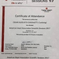 Ampliar imagem: certificate 2