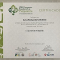Ampliar imagem: certificate 21