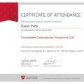 Ampliar imagem: certificate 5