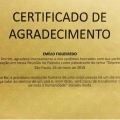 Ampliar imagem: certificate 8