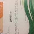 Ampliar imagem: certificate 20