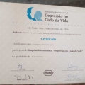 Ampliar imagem: certificate 3