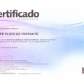Ampliar imagem: certificate 4