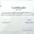 Ampliar imagem: certificate 22