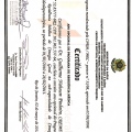 Ampliar imagem: certificate 4