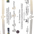 Ampliar imagem: certificate 4