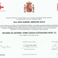Ampliar imagem: certificate 9