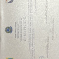 Ampliar imagem: certificate 8