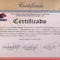 Ampliar imagem: certificate 14