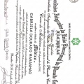 Ampliar imagem: certificate 4