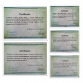 Ampliar imagem: certificate 16