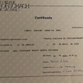 Ampliar imagem: certificate 4
