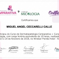 Ampliar imagem: certificate 24