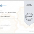 Ampliar imagem: certificate 2