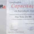 Ampliar imagem: certificate 2