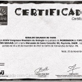Ampliar imagem: certificate 250