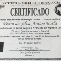 Ampliar imagem: certificate 5