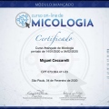 Ampliar imagem: certificate 21
