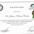 Ampliar imagem: certificate 5