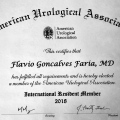 Ampliar imagem: certificate 9