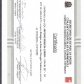 Ampliar imagem: certificate 4