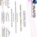 Ampliar imagem: certificate 23