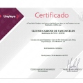 Ampliar imagem: certificate 9