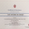 Ampliar imagem: certificate 9