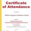 Ampliar imagem: certificate 11