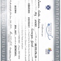 Ampliar imagem: certificate 1