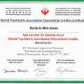 Ampliar imagem: certificate 3