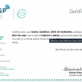 Ampliar imagem: certificate 3