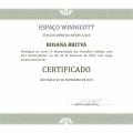 Ampliar imagem: certificate 11