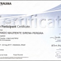 Ampliar imagem: certificate 3