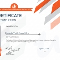 Ampliar imagem: certificate 4