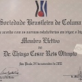 Ampliar imagem: certificate 11