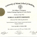 Ampliar imagem: certificate 10