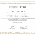 Ampliar imagem: certificate 2
