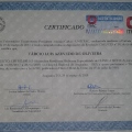 Ampliar imagem: certificate 2