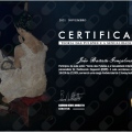 Ampliar imagem: certificate 16