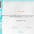 Ampliar imagem: certificate 33