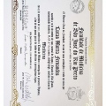 Ampliar imagem: certificate 1