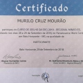 Ampliar imagem: certificate 4