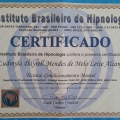 Ampliar imagem: certificate 11