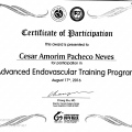 Ampliar imagem: certificate 9